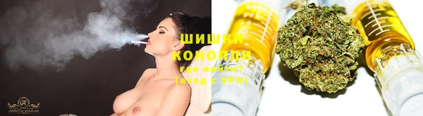 крисы Лабытнанги