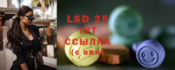 крисы Лабытнанги