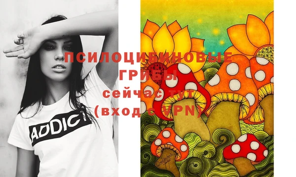 крисы Лабытнанги