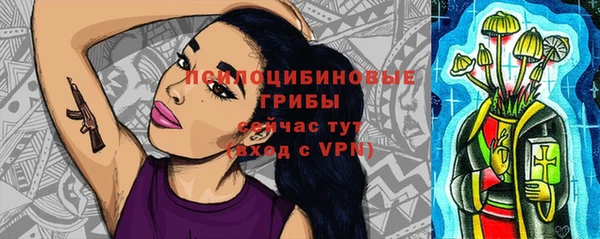 apvp Ладушкин