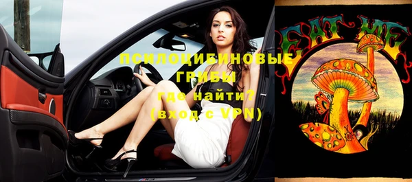 крисы Лабытнанги