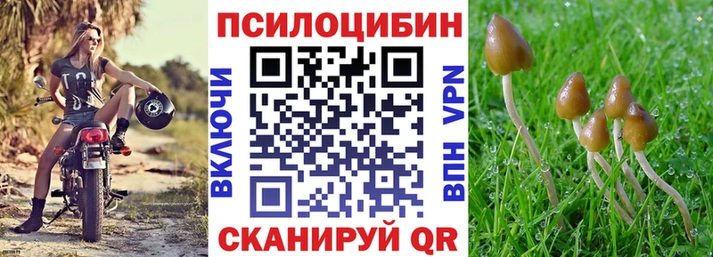 Галлюциногенные грибы Cubensis  Купить  Орехово-Зуево 